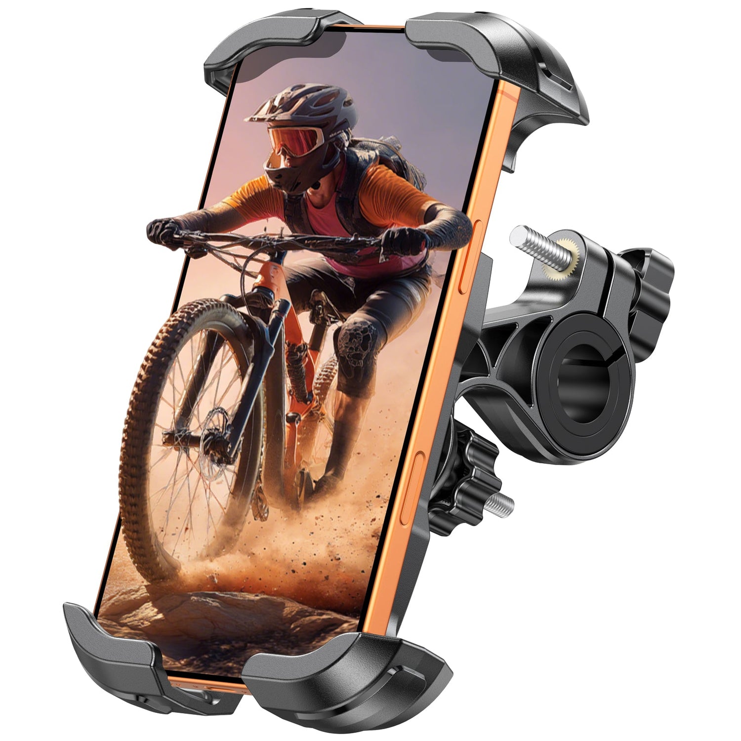 Bike Mount